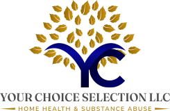 YOUR CHOICE SELECTION LLC