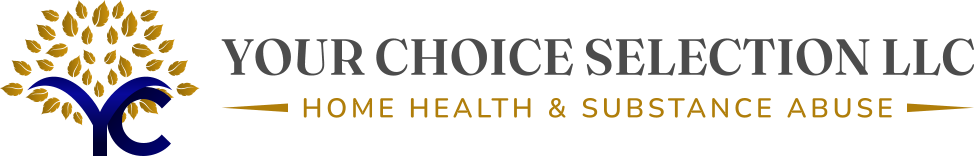 YOUR CHOICE SELECTION LLC