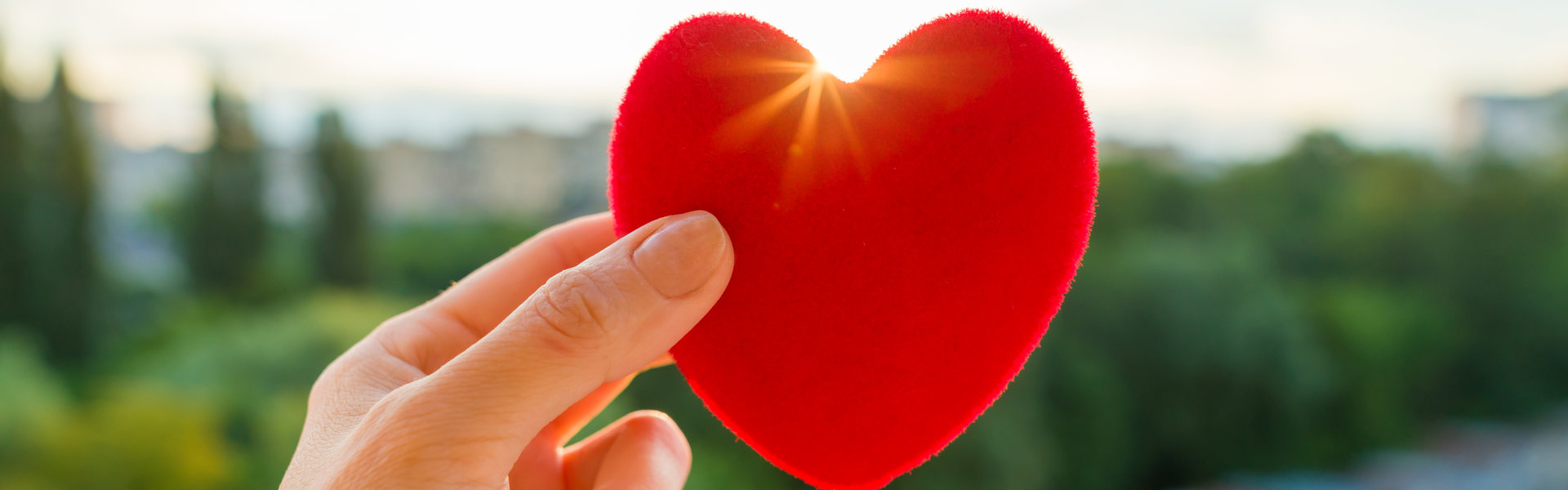 hand holding a heart-shaped thing